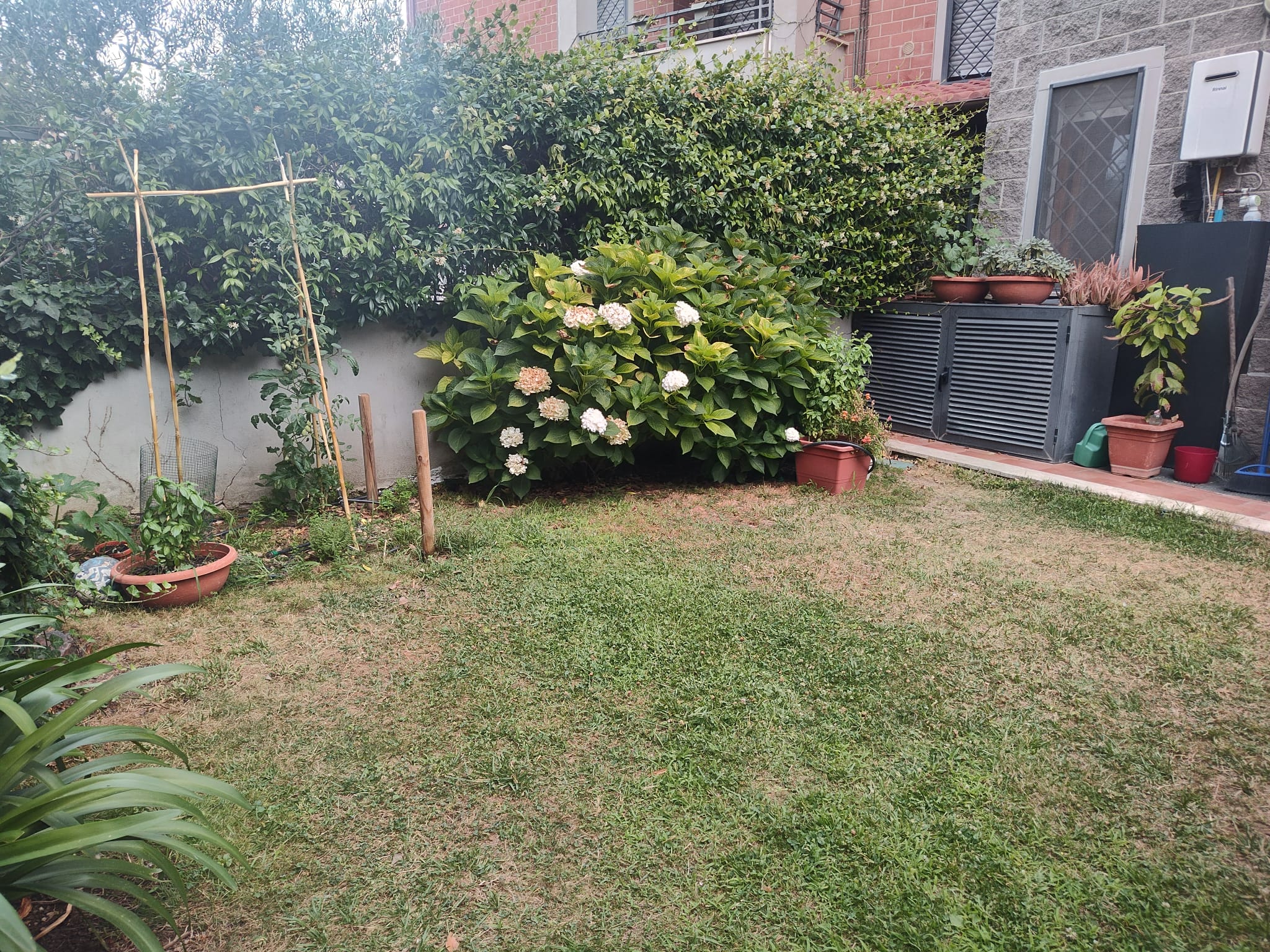 GIARDINO_3_20260709120830 Ampio bilivelli di 105 mq con giardino e gazebo – Selva Candida, Via Poggio delle Corti